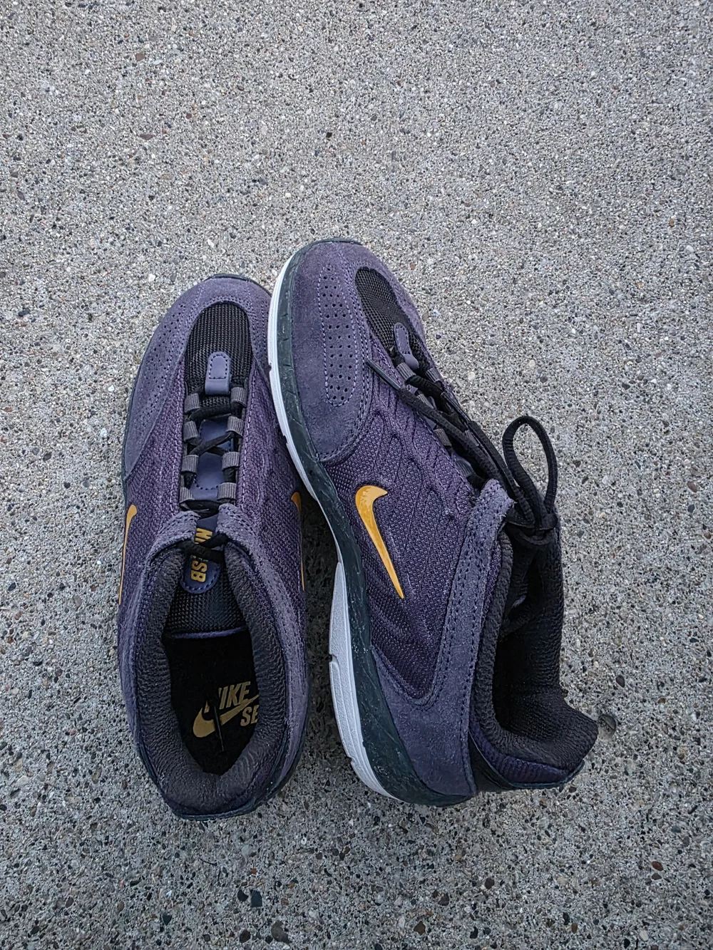 Nike Vertebrae SB 'Dark Raisin Sneaker Youth Boys 6
